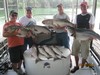 (07/10/2015) - Nice Striped Bass